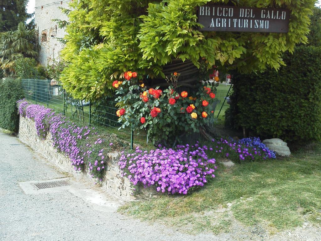 Bricco Del Gallo Sinio Exterior foto